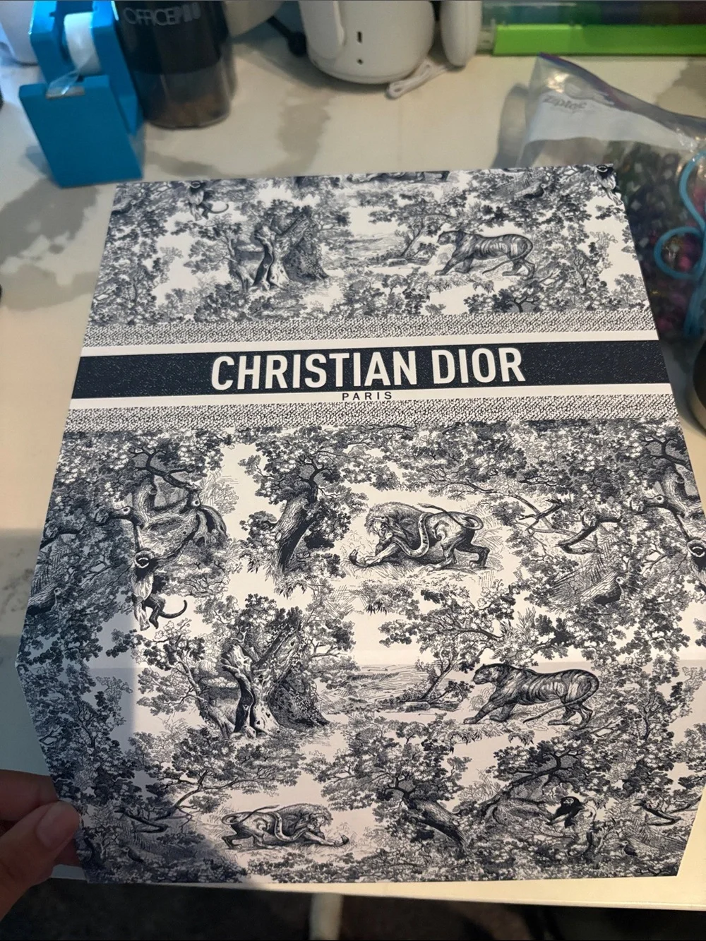 Dior Black and White Toile Decorative Wall Art